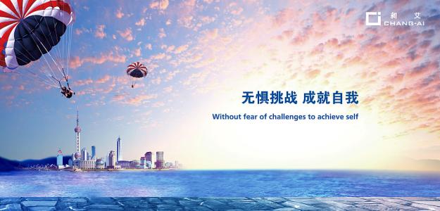 傳統(tǒng)企業(yè)